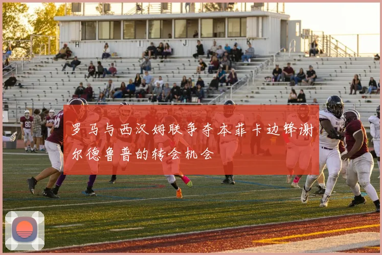 罗马与西汉姆联争夺本菲卡边锋谢尔德鲁普的转会机会